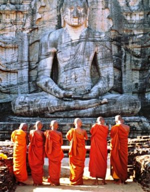 monks - orange - buddha - asia.jpeg